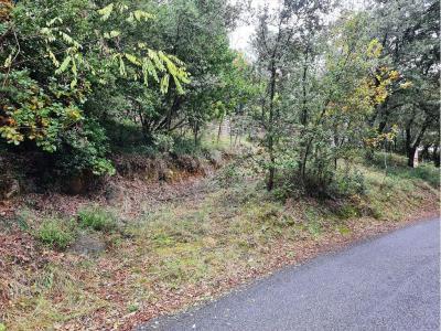 Building Plot For Sale, Services Nearby