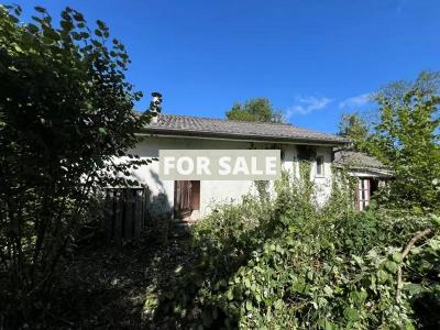 Detached House for Renovation