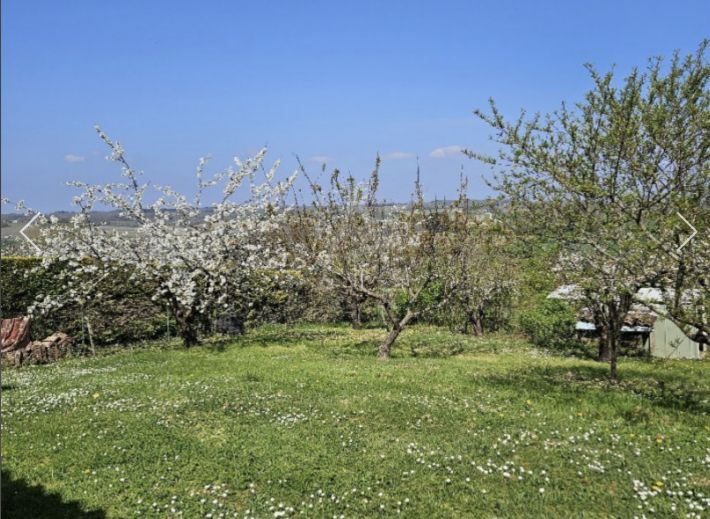 Detached House with Lovely Garden