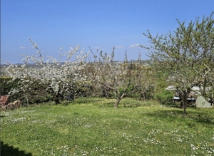 Detached House with Lovely Garden