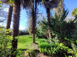 Renovated Landaise-style House With Lovely Garden