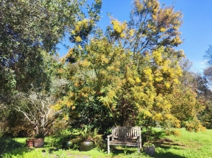 Renovated Landaise-style House With Lovely Garden