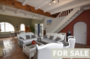 Beautiful Renovated Villa with Garden