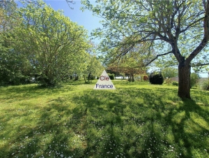 Detached House with Garden