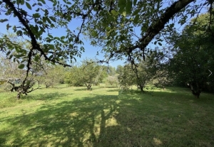 Detached House with Landscaped Garden