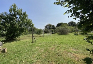 Detached House with Landscaped Garden