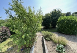 Detached House with Landscaped Garden