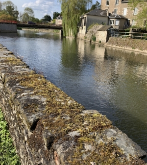 Building Plot Bordering the River Varenne