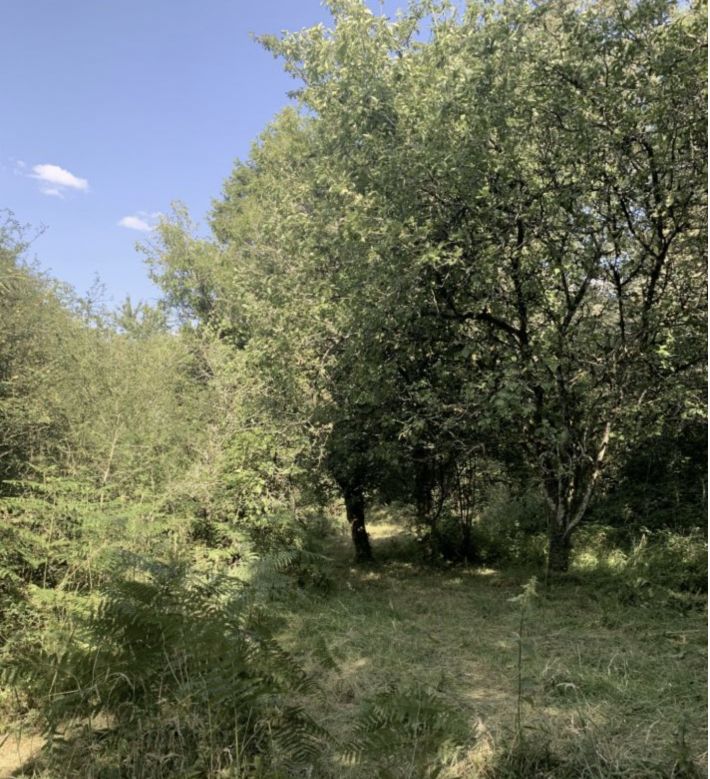 SLD02635 - SOLD By Cle France