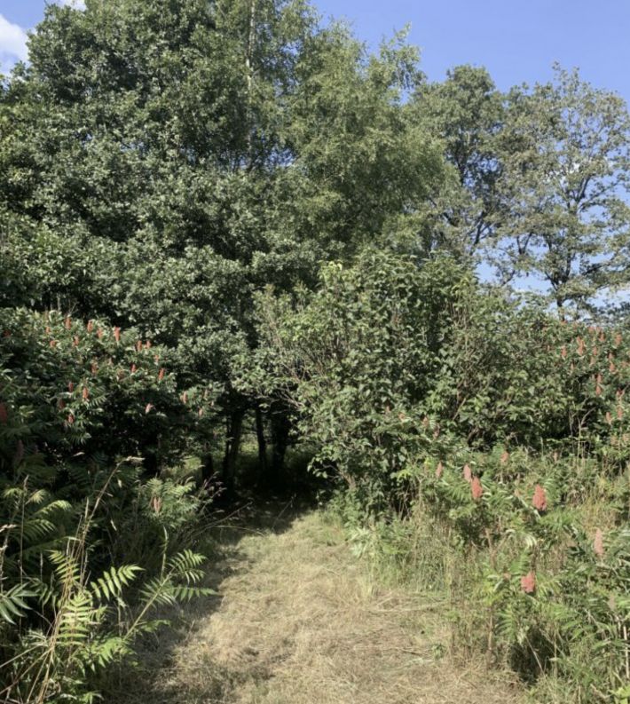 SLD02635 - SOLD By Cle France