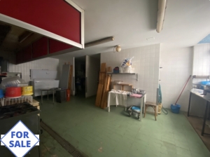 Spacious Renovated Town House With Workshop And Shed