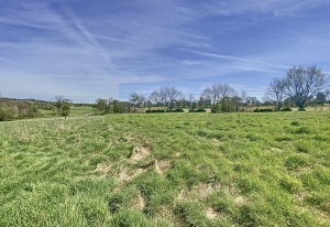 Immaculate Detached Country House with Outbuildings