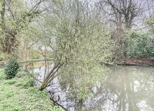 Detached Country House with Land