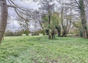 Detached Country House with Land