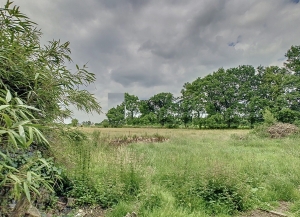 Detached House with Garden