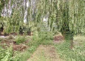 Detached House with Garden