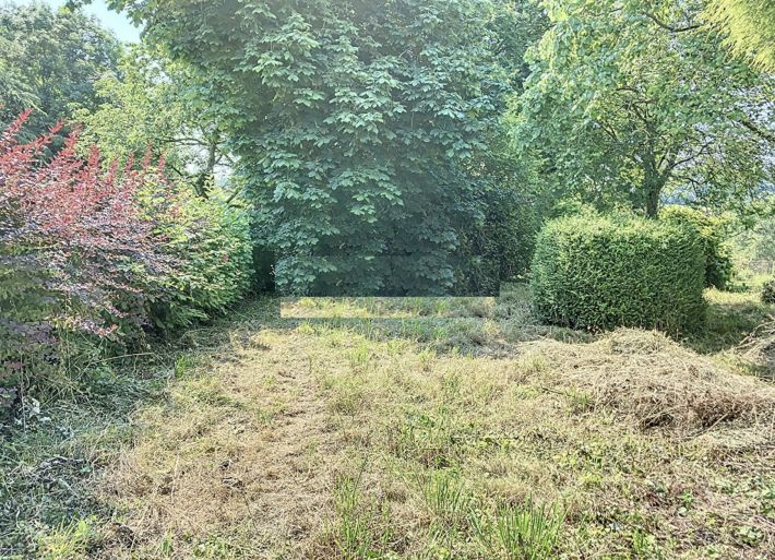 Main Photo