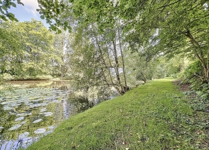 Stunning Detached House with Lake