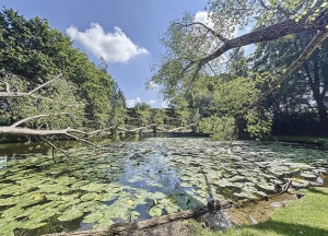 Stunning Detached House with Lake