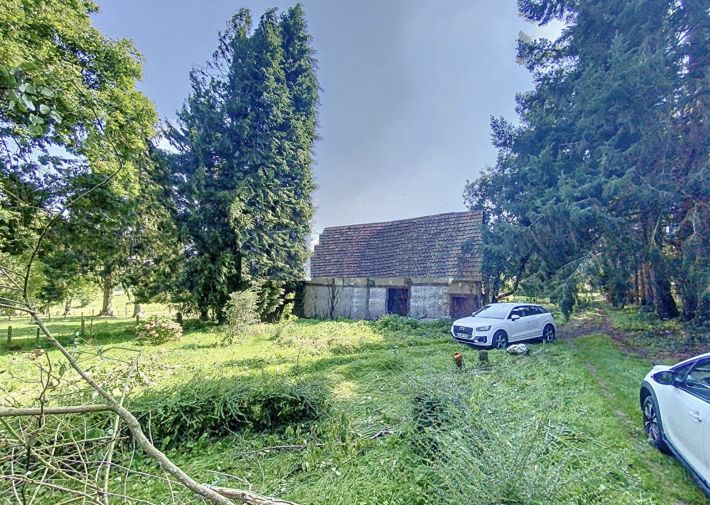 Main Photo
