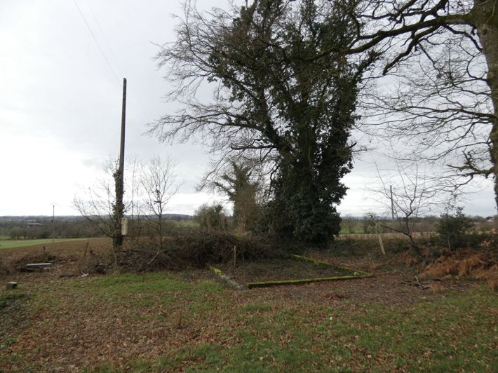 Main Photo