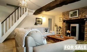 Detached Country House with Lake and Guest Gite