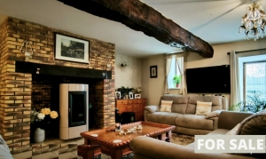 Detached Country House with Lake and Guest Gite