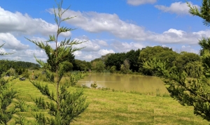 Detached Country House with Lake and Guest Gite