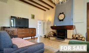 Chateau Style Detached House with Guest Gite
