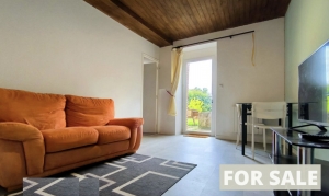 Chateau Style Detached House with Guest Gite