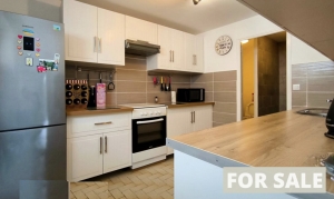 Chateau Style Detached House with Guest Gite