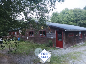 Detached Wooden House with Three Lakes and Land