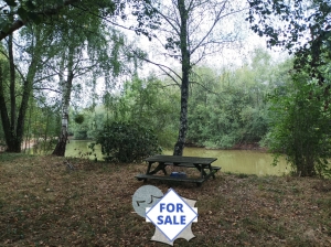 Detached Wooden House with Three Lakes and Land