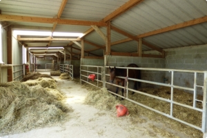 Equestrian Facilities with Stables Over Eight Hectares