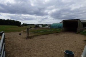 Equestrian Facilities with Stables Over Eight Hectares