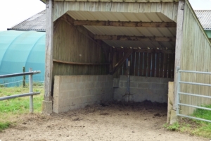 Equestrian Facilities with Stables Over Eight Hectares