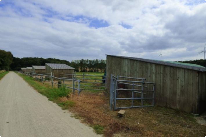Equestrian Facilities with Stables Over Eight Hectares