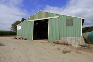 Equestrian Facilities with Stables Over Eight Hectares
