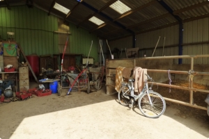 Equestrian Facilities with Stables Over Eight Hectares