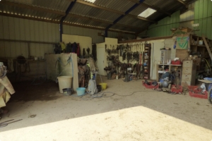 Equestrian Facilities with Stables Over Eight Hectares