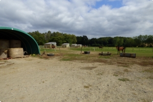 Equestrian Facilities with Stables Over Eight Hectares