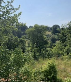 Detached House Close to the River