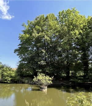 Leisure Plot with Lake