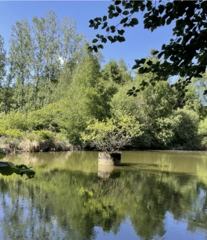 Leisure Plot with Lake