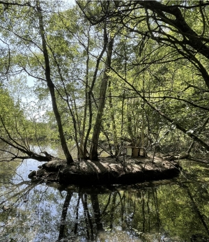 Leisure Plot with Lake