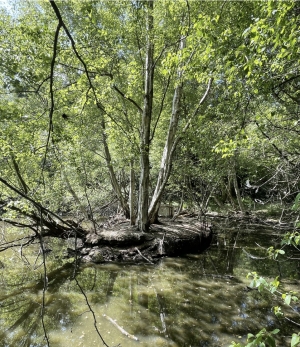 Leisure Plot with Lake