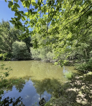 Leisure Plot with Lake