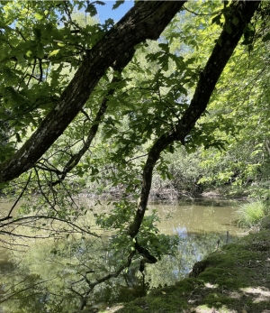 Leisure Plot with Lake