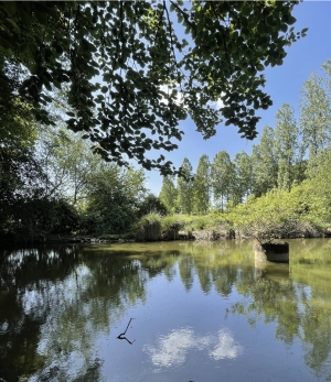 Leisure Plot with Lake