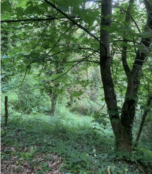 Leisure Land Bordered by a River